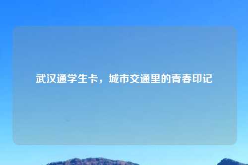 武汉通学生卡，城市交通里的青春印记