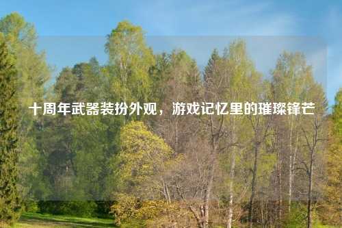 十周年武器装扮外观,游戏记忆里的璀璨锋芒