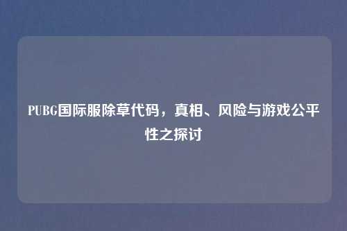 PUBG国际服除草代码，真相、风险与游戏公平性之探讨