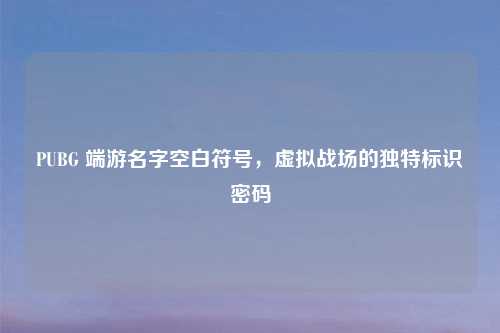 PUBG 端游名字空白符号,虚拟战场的独特标识密码