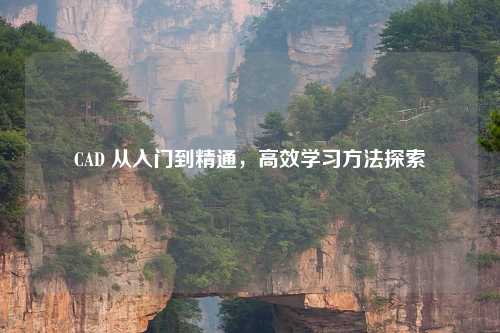 CAD 从入门到精通，高效学习     探索