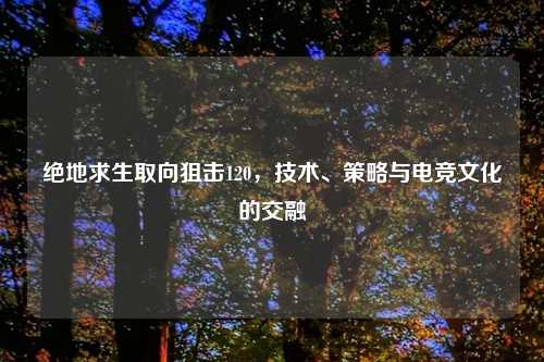 绝地求生取向狙击120,技术、策略与电竞文化的交融