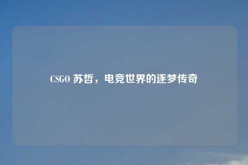 CSGO 苏哲，电竞世界的逐梦传奇