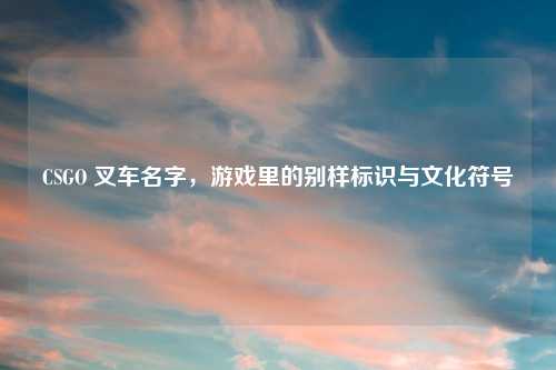 CSGO 叉车名字,游戏里的别样标识与文化符号