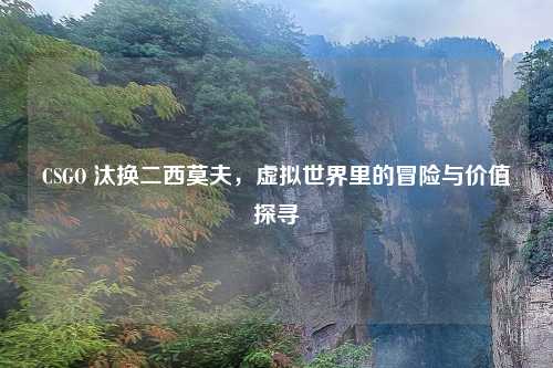 CSGO 汰换二西莫夫,虚拟世界里的冒险与价值探寻