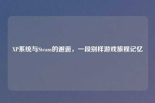 XP系统与Steam的邂逅,一段别样游戏旅程记忆