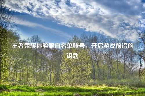 王者荣耀体验服白名单账号，开启游戏前沿的钥匙