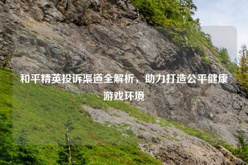 和平精英投诉渠道全解析,助力打造公平健康游戏环境