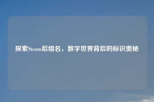 探索Steam后缀名,数字世界背后的标识奥秘