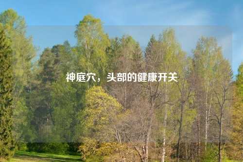 神庭穴，头部的健康开关