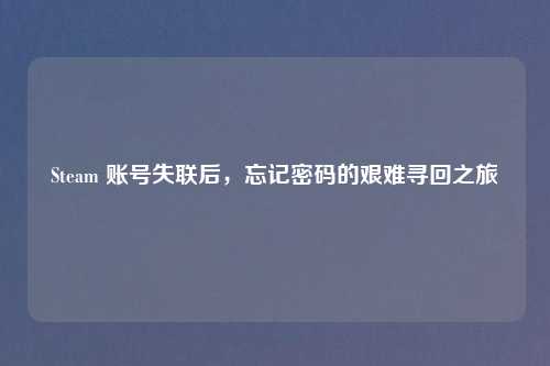 Steam 账号失联后，忘记密码的艰难寻回之旅