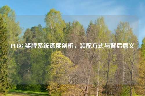 PUBG 奖牌系统深度剖析,装配方式与背后意义