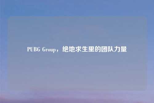 PUBG Group，绝地求生里的团队力量