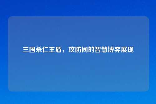 三国杀仁王盾，攻防间的智慧博弈展现