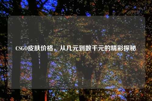 CSGO皮肤价格,从几元到数千元的精彩探秘