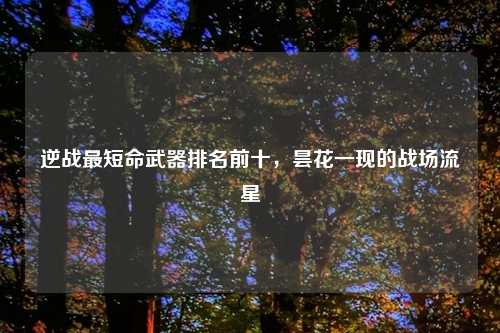 逆战最短命武器排名前十,昙花一现的战场流星
