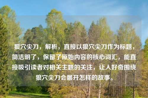 狼穴尖刀，解析，直接以狼穴尖刀作为标题，简洁明了，保留了原始内容的核心词汇，能直接吸引读者对相关主题的关注，让人好奇围绕狼穴尖刀会展开怎样的故事。