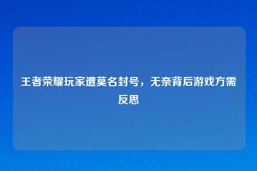 王者荣耀玩家遭莫名封号，无奈背后游戏方需反思