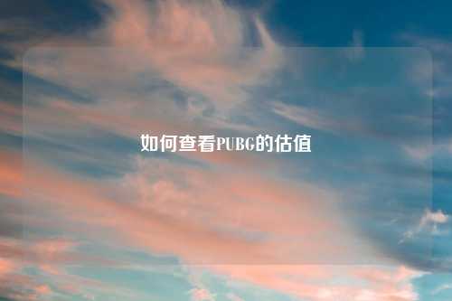 如何查看PUBG的估值