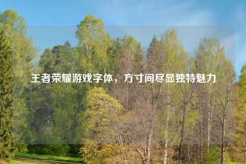 王者荣耀游戏字体，方寸间尽显独特魅力