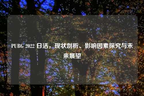 PUBG 2022 日活，现状剖析、影响因素探究与未来展望