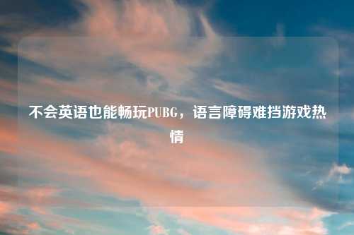 不会英语也能畅玩PUBG,语言障碍难挡游戏热情