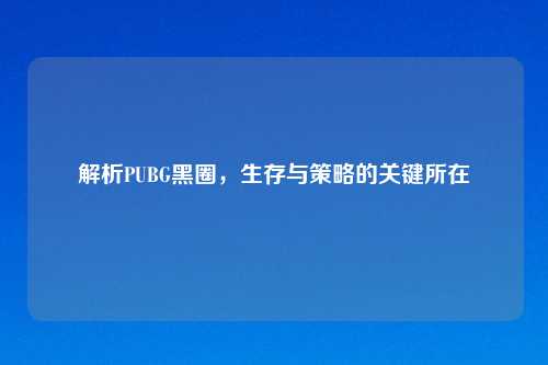 解析PUBG黑圈，生存与策略的关键所在