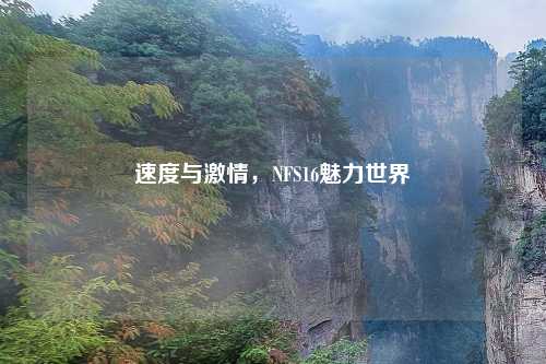 速度与 ,NFS16魅力世界
