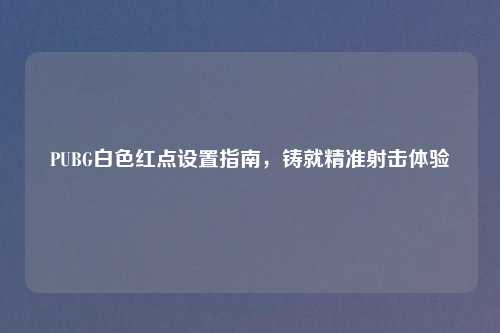 PUBG白色红点设置指南,铸就精准射击体验