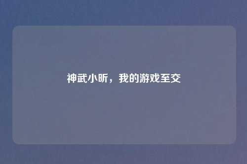 神武小昕,我的游戏至交