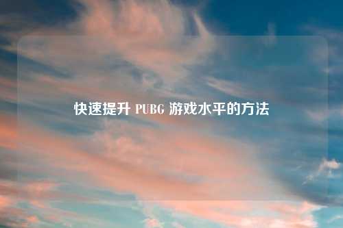 快速提升 PUBG 游戏水平的     