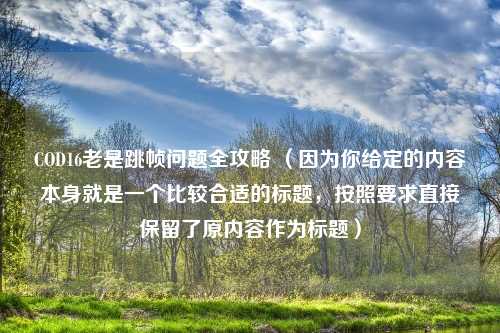 COD16老是跳帧问题全攻略 (因为你给定的内容本身就是一个比较合适的标题,按照要求直接保留了原内容作为标题)