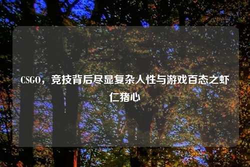 CSGO，竞技背后尽显复杂人性与游戏百态之虾仁猪心