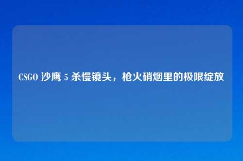 CSGO 沙鹰 5 杀慢镜头，枪火硝烟里的极限绽放