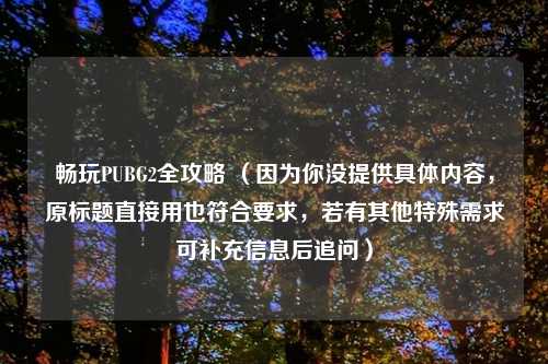 畅玩PUBG2全攻略 （因为你没提供具体内容，原标题直接用也符合要求，若有其他特殊需求可补充信息后追问）
