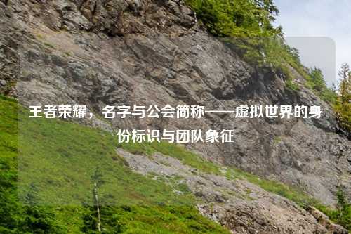 王者荣耀,名字与公会简称——虚拟世界的身份标识与团队象征