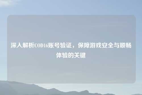 深入解析COD16账号验证，保障游戏安全与顺畅体验的关键