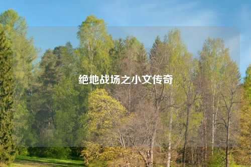 绝地战场之小文传奇