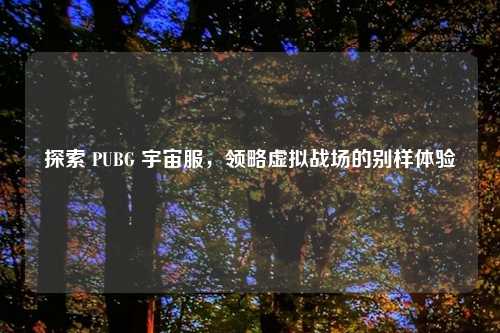 探索 PUBG 宇宙服，领略虚拟战场的别样体验