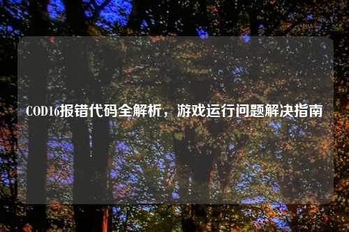 COD16报错代码全解析，游戏运行问题解决指南