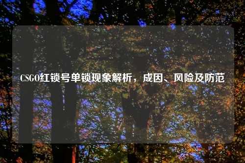 CSGO红锁号单锁现象解析，成因、风险及防范
