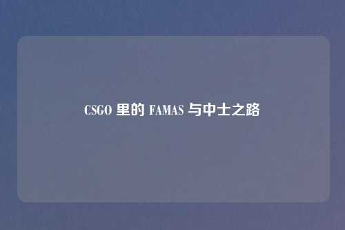 CSGO 里的 FAMAS 与中士之路