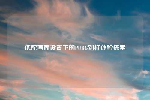 低配画面设置下的PUBG别样体验探索