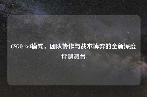 CSGO 2v4模式,团队协作与战术博弈的全新深度评测舞台