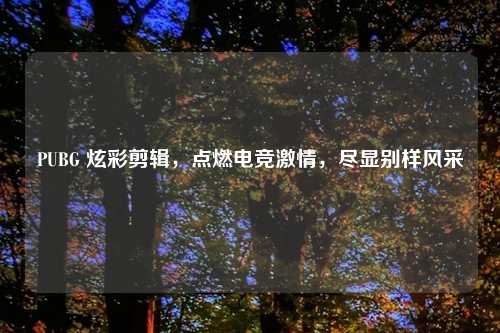 PUBG 炫彩剪辑，点燃电竞     ，尽显别样风采