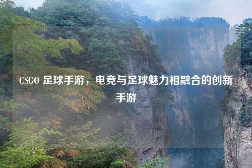 CSGO 足球手游,电竞与足球魅力相融合的创新手游