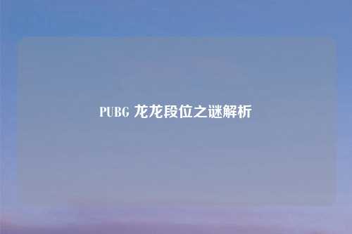 PUBG 龙龙段位之谜解析