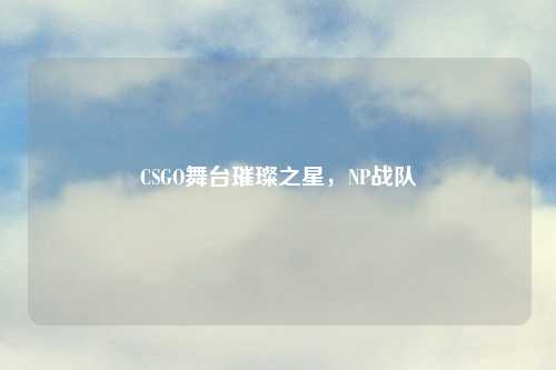 CSGO舞台璀璨之星，NP战队