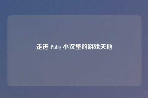 走进 Pubg 小汉堡的游戏天地