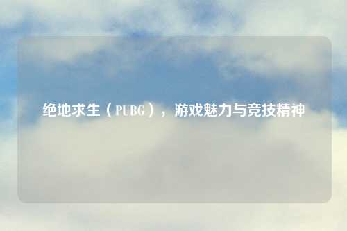 绝地求生（PUBG），游戏魅力与竞技精神